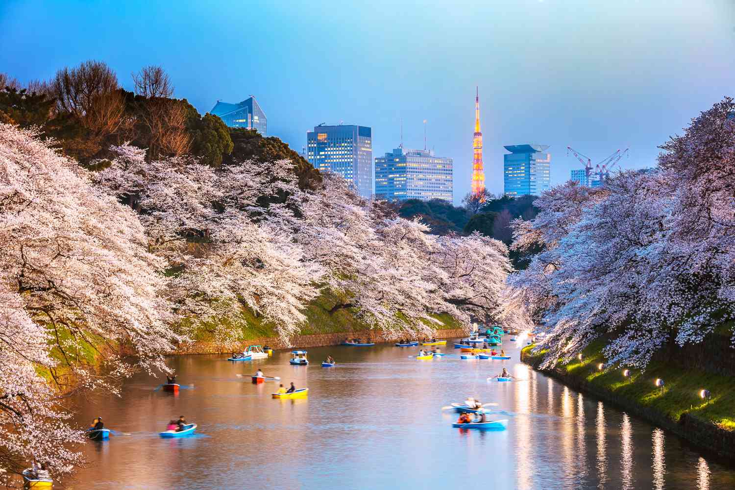 Tokyo skyline at night with Mount Fuji in the background
