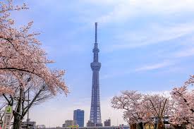 Tokyo Skytree towering over the city
