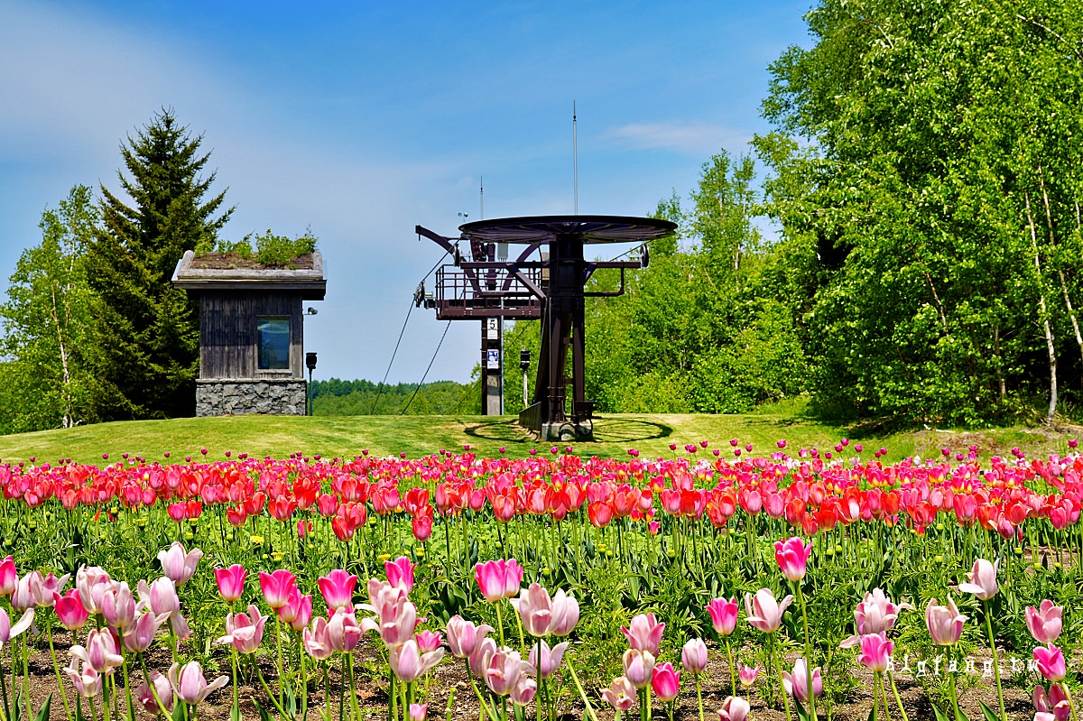 北海道國營瀧野鈴蘭公園